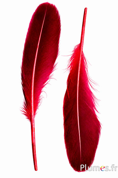 Eend - 18-20 cm, links en rechts - rood-zwart